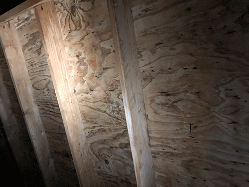 attic mold removal