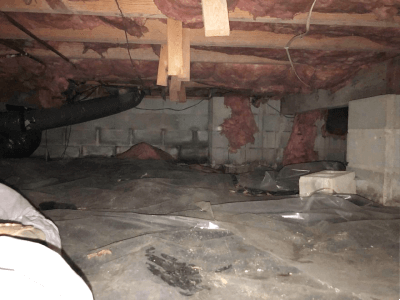 crawlspace 