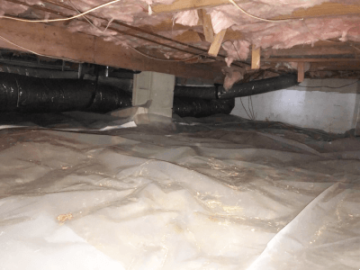 Crawlspace with mold