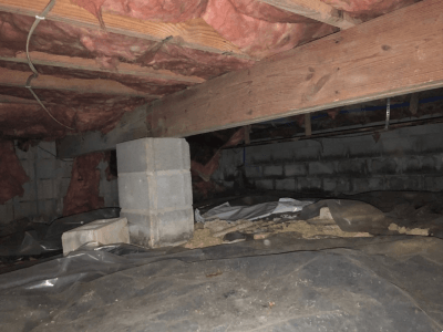 crawlspace 