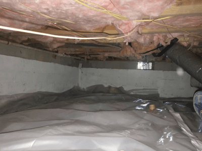 Mold in Crawlspace