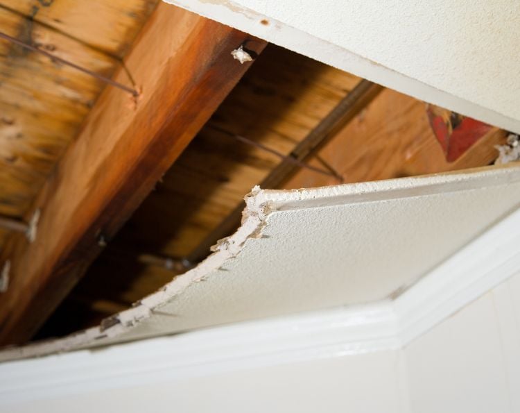 Swift and Effective Water Damage Restoration in Richmond