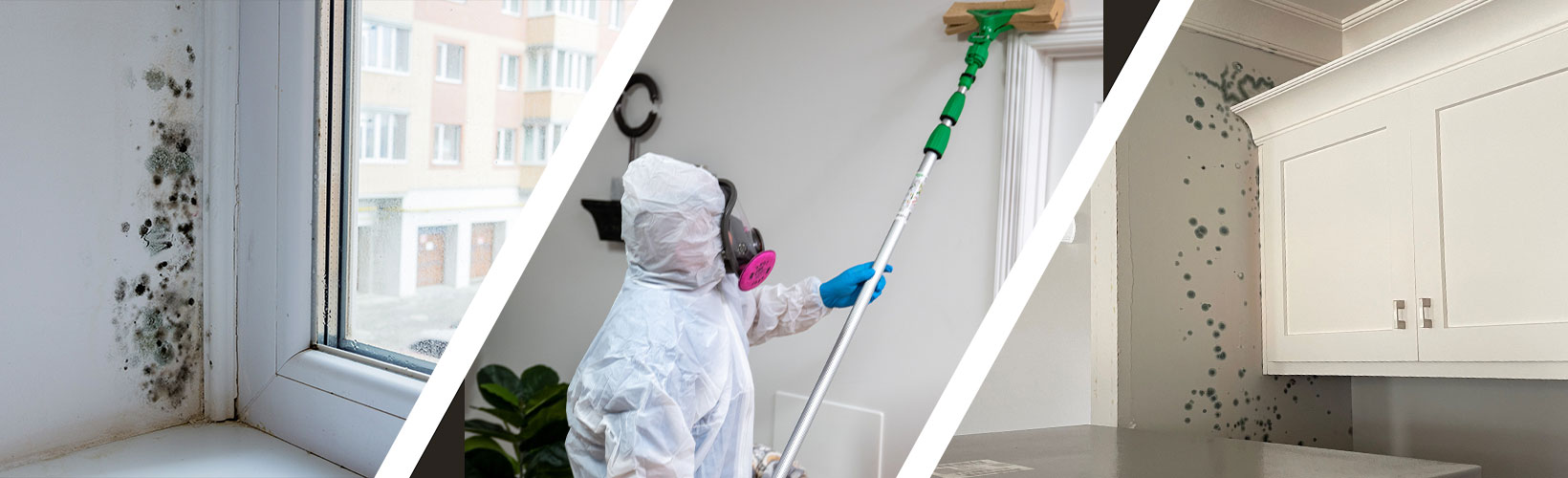 Residential-Mold-Removal